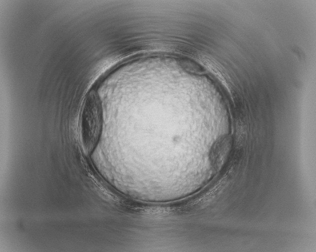 X0000116000789200912170949