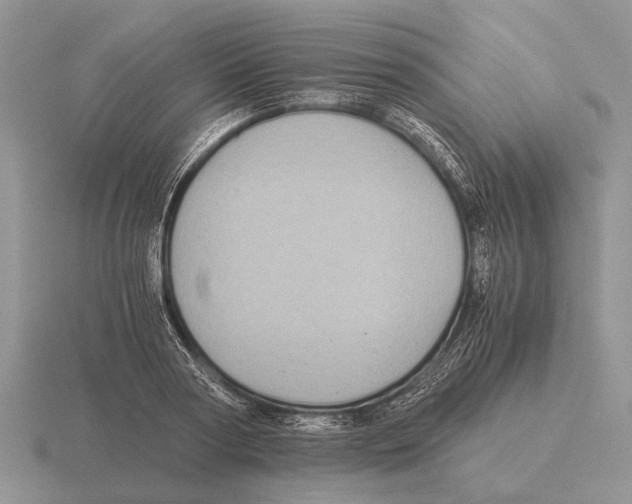 X0000116000794200912170949