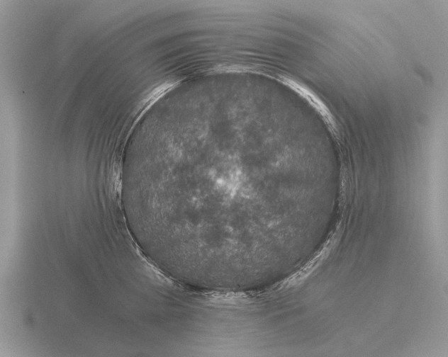 X0000116000809200912170949
