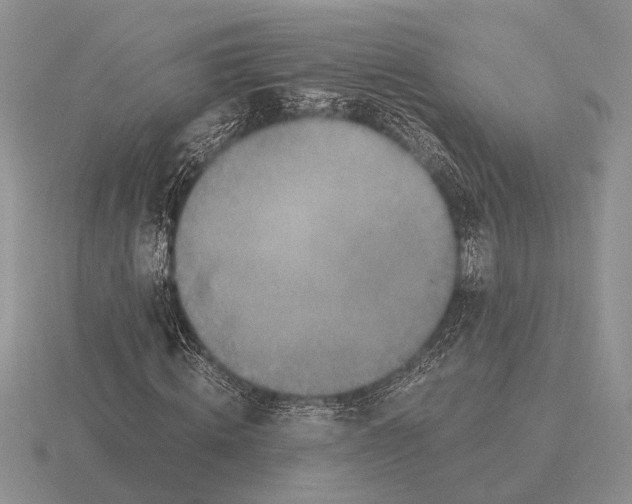 X0000116000820200912170948