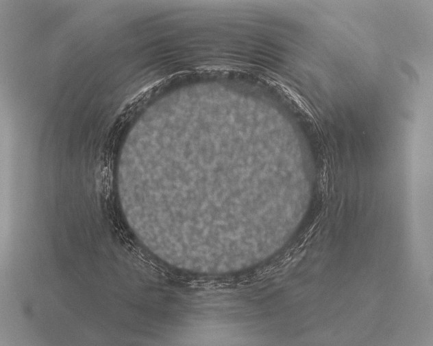 X0000116000821200912170948