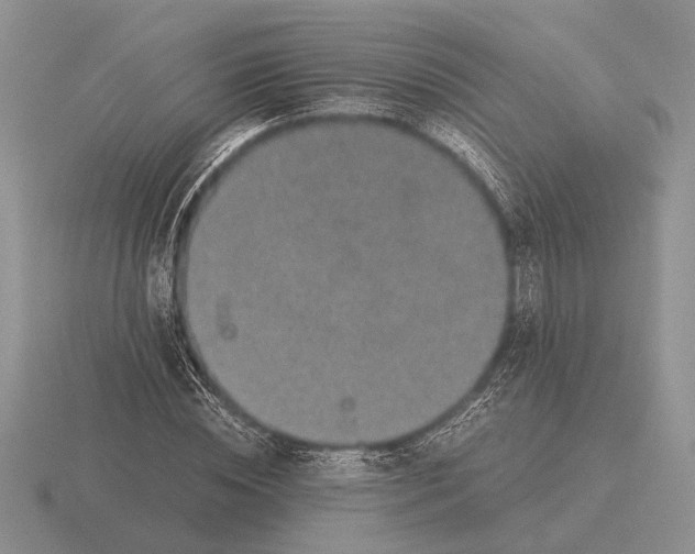 X0000116000828200912170948