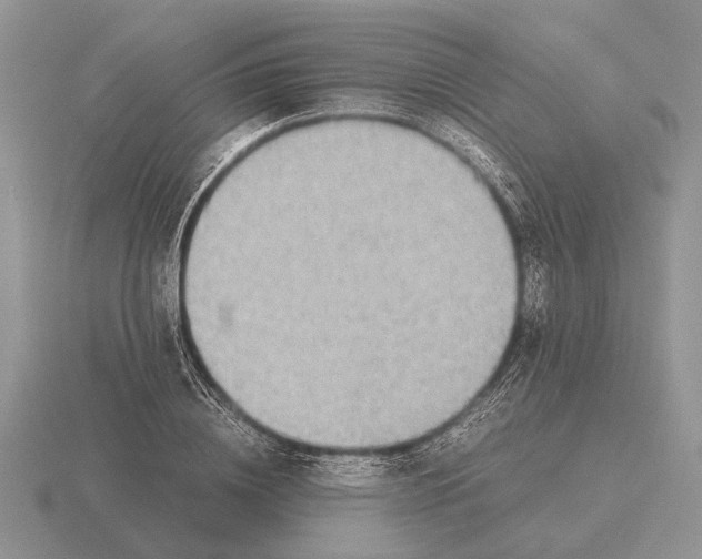 X0000116000836200912170948