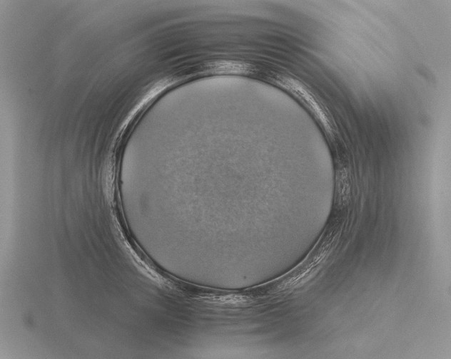 X0000116000851200912170948
