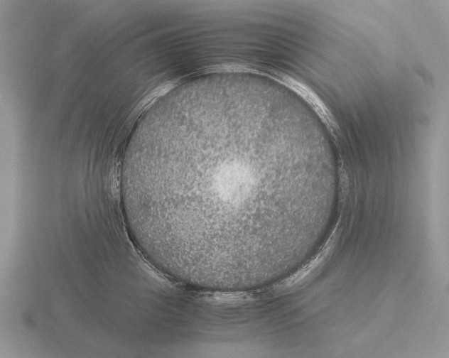 X0000116000857200912170948