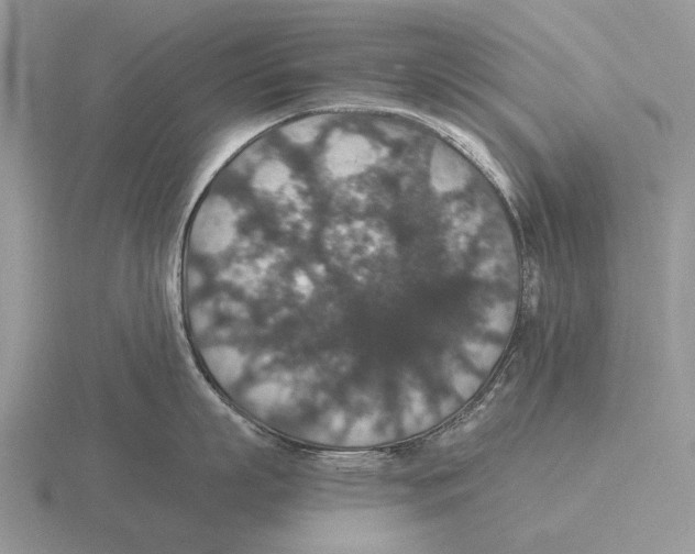 X0000116000863200912170948