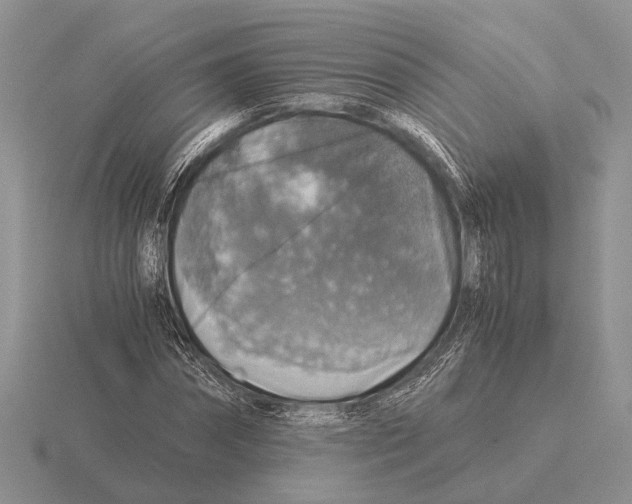 X0000116000874200912170948