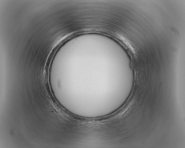 X0000116000876200912170948
