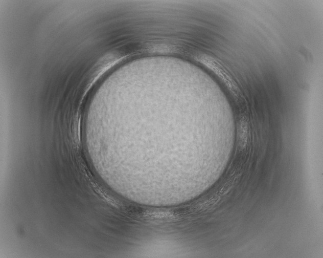 X0000116000886200912170947