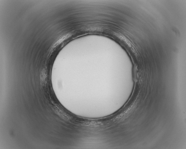 X0000116000922200912170947
