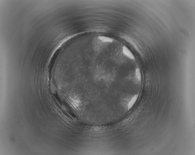 X0000116000923200912170947