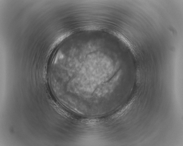 X0000116000930200912170947