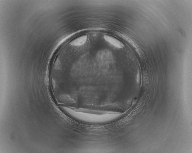 X0000116000935200912170947