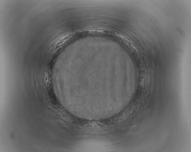 X0000116000966200912170946