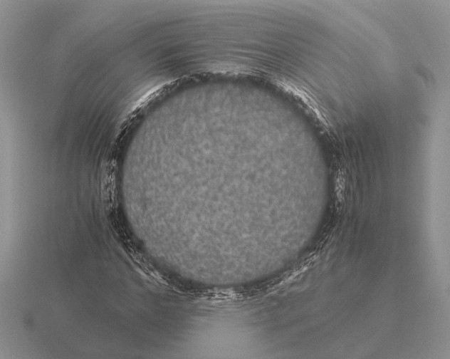 X0000116000968200912170946