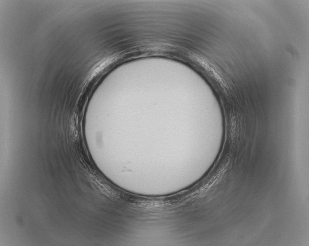 X0000116000970200912170946