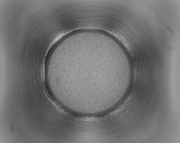 X0000116000982200912170946