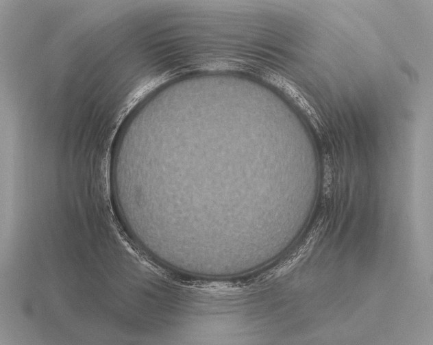 X0000116000986200912170946