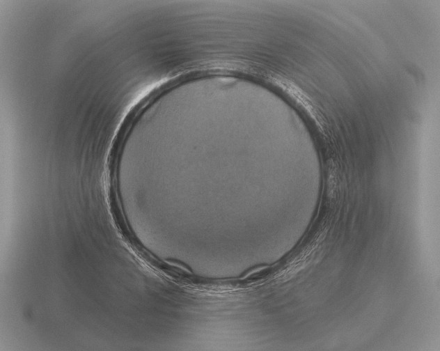X0000116001024200912170945