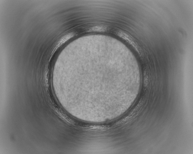 X0000116001026200912170945