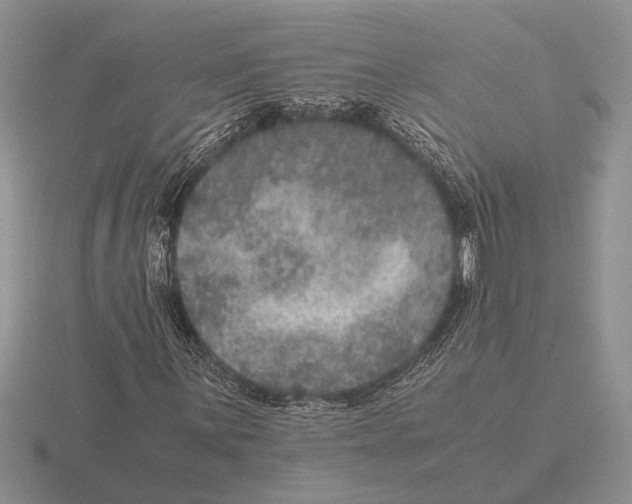 X0000116001059200912170945