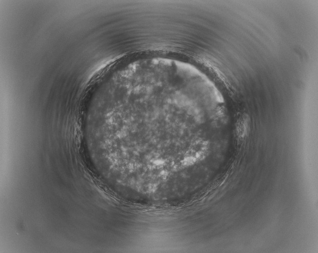 X0000116001064200912170945