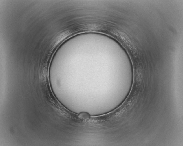 X0000116001073200912170945