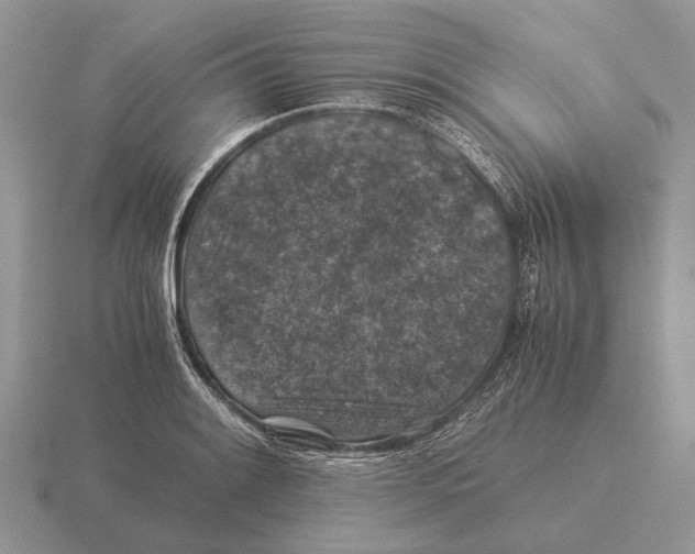 X0000116001084200912170945