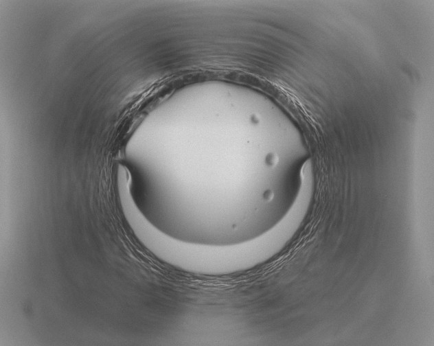 X0000116001110200912170944