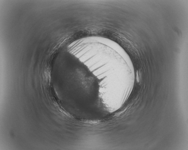 X0000116001155200912170944