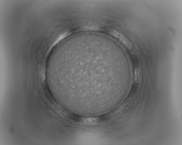 X0000116001165200912170944