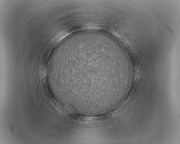 X0000116001169200912170944