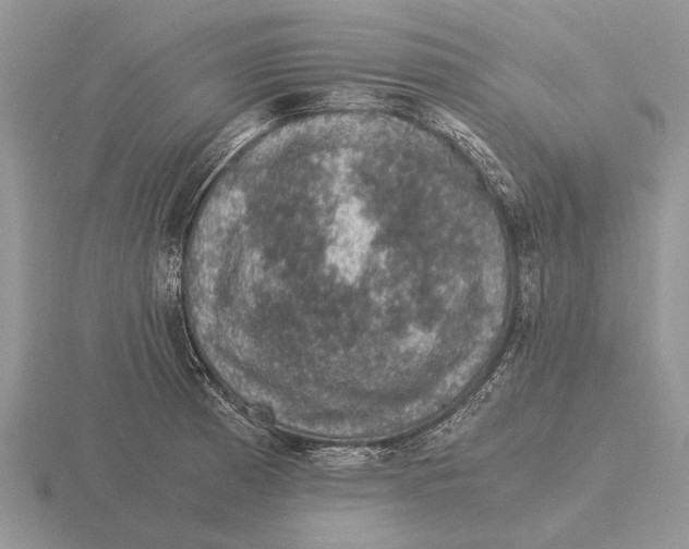 X0000116001185200912170944
