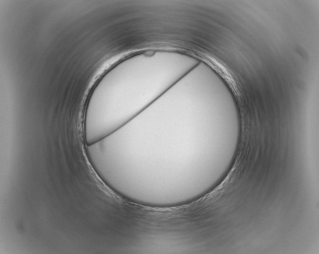 X0000116001192200912170943