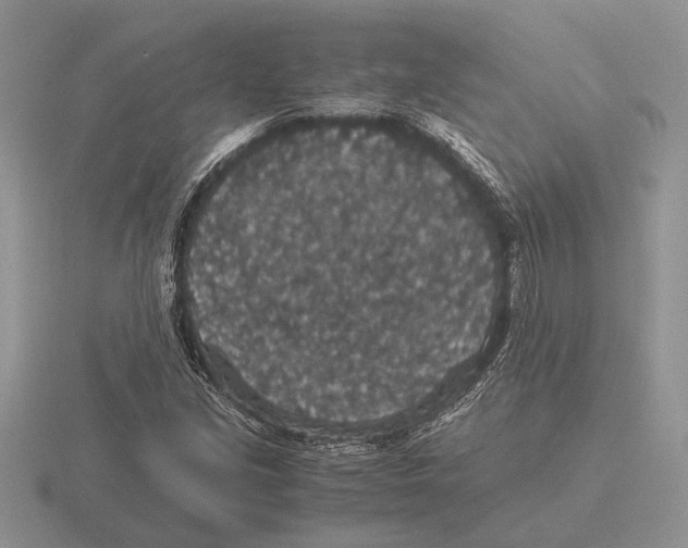 X0000116001213200912170943