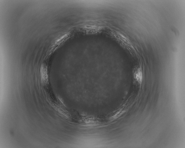X0000116001252200912170943
