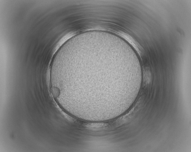X0000116001290200912170942
