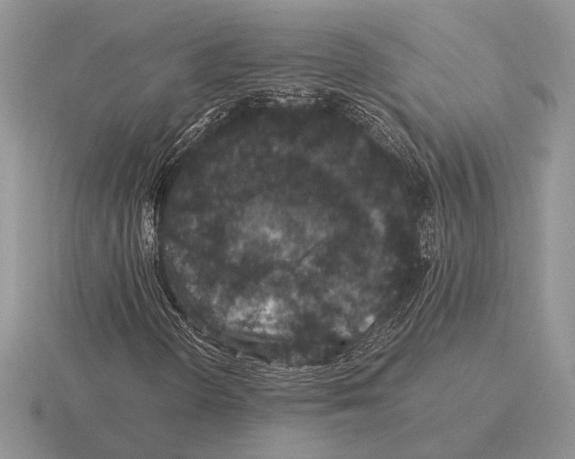 X0000116001298200912170941