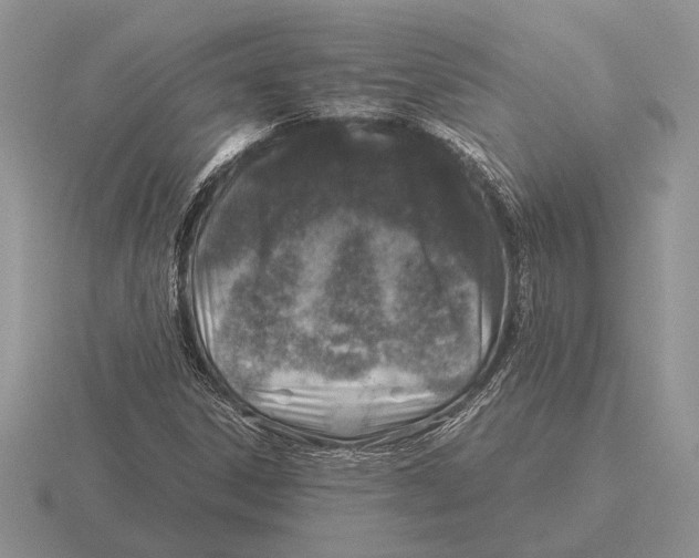 X0000116001306200912170941