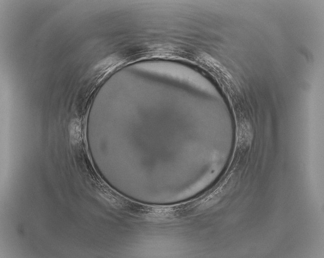 X0000116001353200912170941