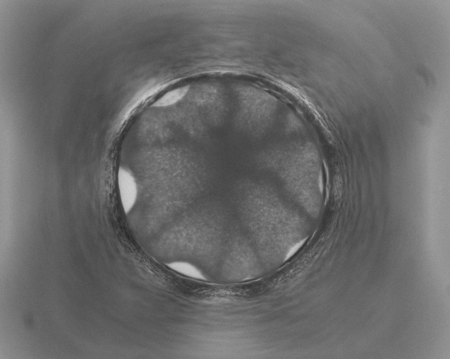 X0000116001359200912170941