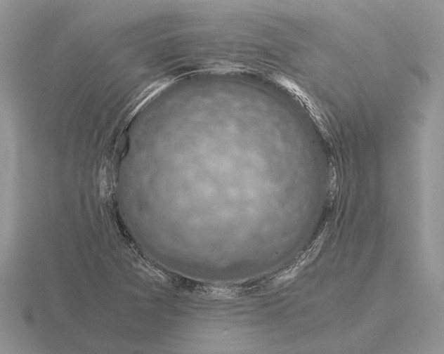 X0000116001361200912170941