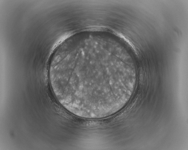 X0000116001362200912170941
