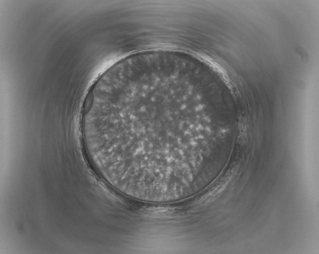 X0000116001373200912170941