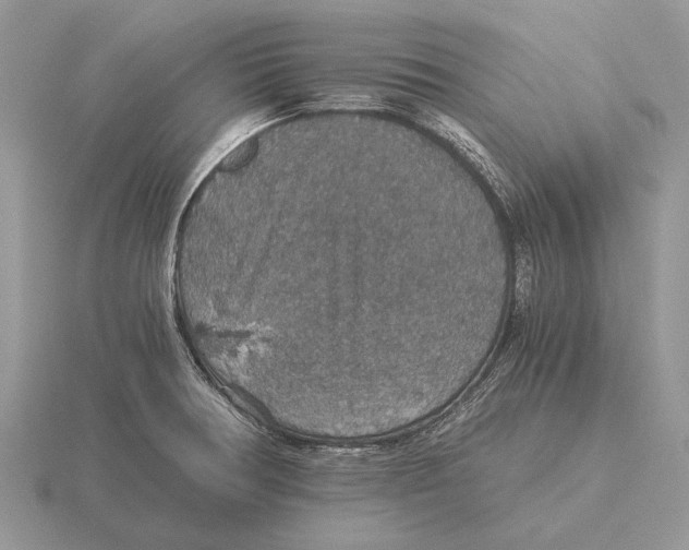 X0000116001378200912170941