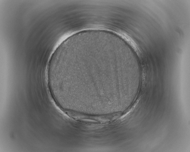 X0000116001382200912170941