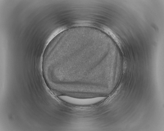 X0000116001386200912170941
