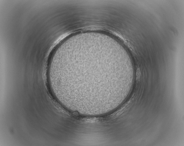 X0000116001410200912170940