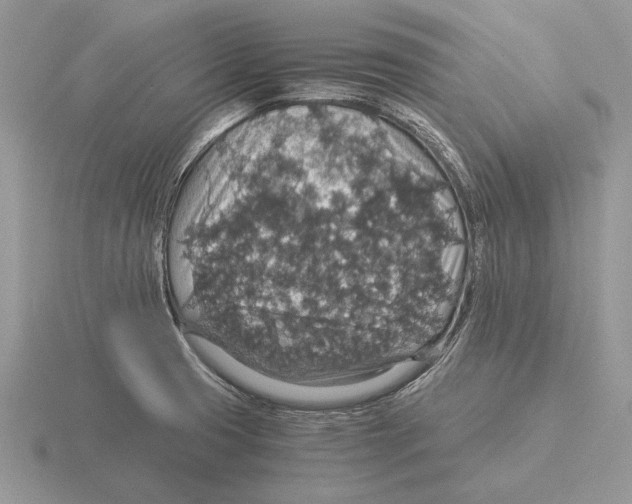 X0000116001425200912170941