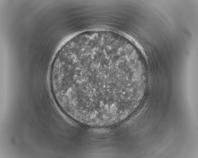 X0000116001429200912170941